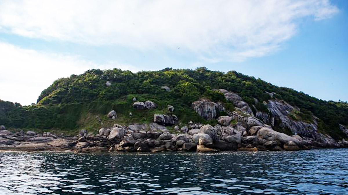 Conhecida popularmente como Ilha das Cobras, ela é a segunda do planeta com a maior concentração do réptil por metro quadrado