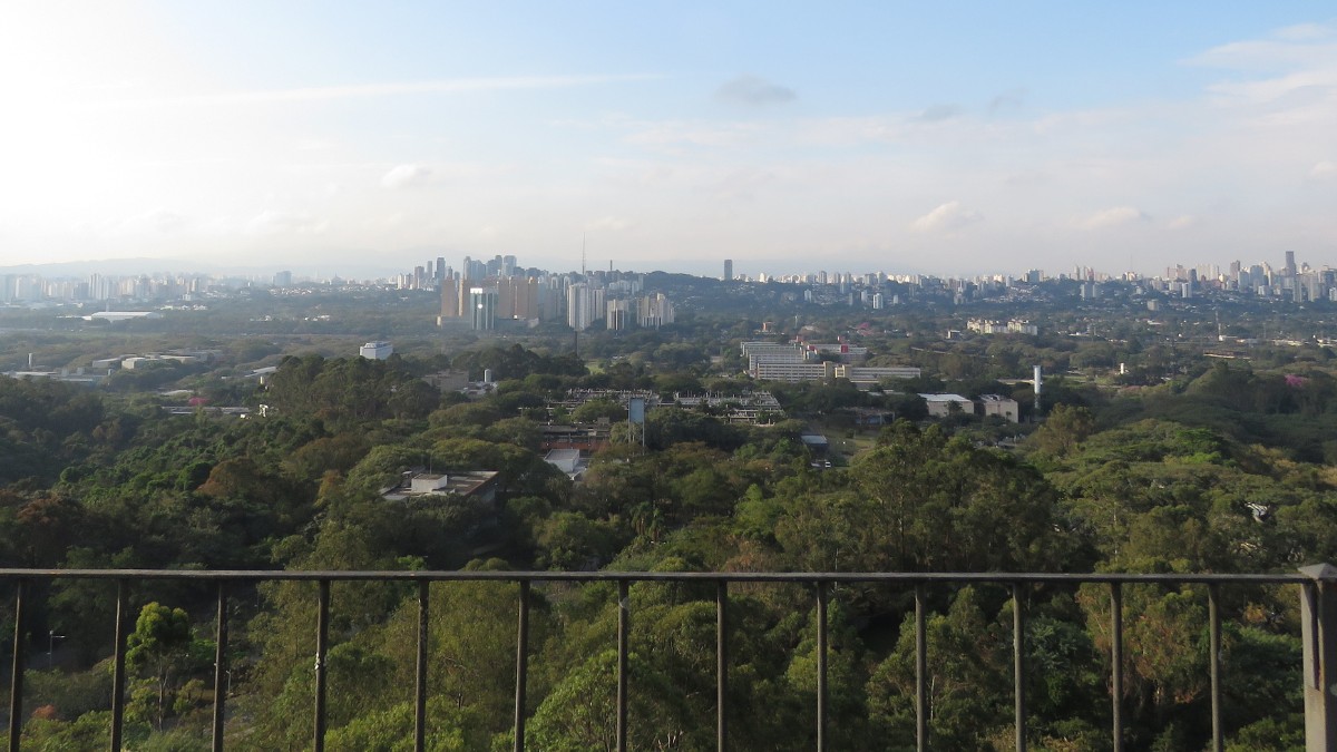 Imagem do Campus do Butantã da Universidade de São Paulo / TiagoLubiana / Wikimedia Commons