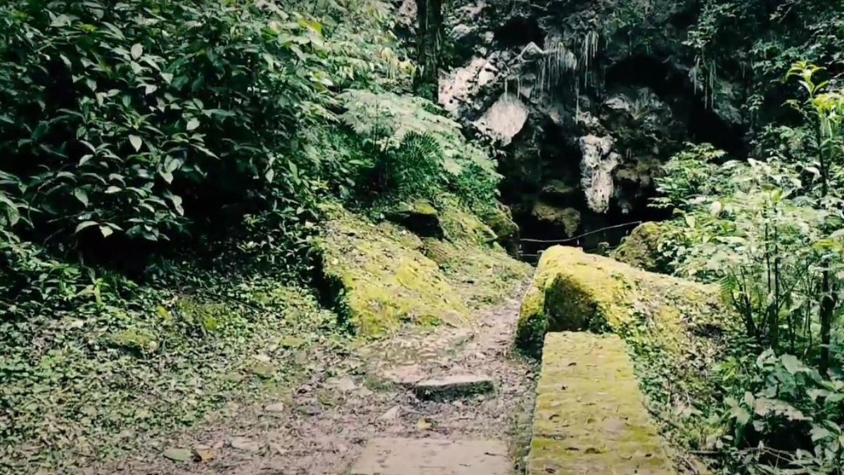 Um passeio obrigatório para aventureiros, famílias e amantes da natureza