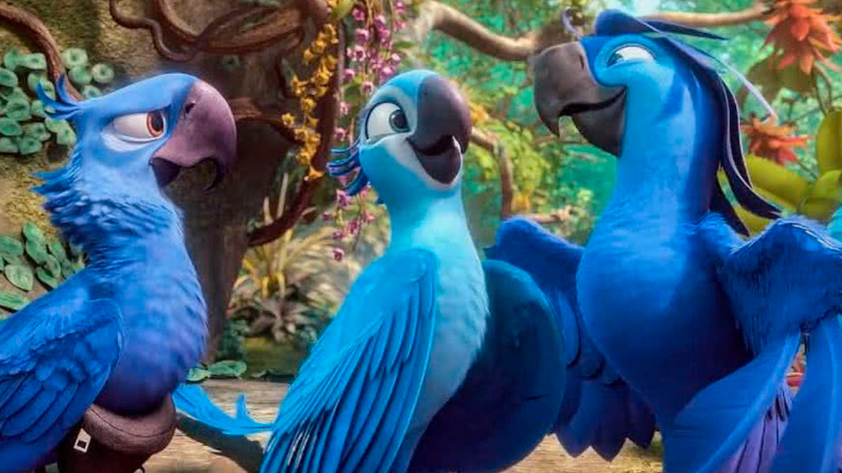 Pequena, de penas azuis e olhar curioso, a ararinha-azul (Cyanopsitta spixii) é considerada o animal mais raro do Brasil e um ícone global da conservação ambiental