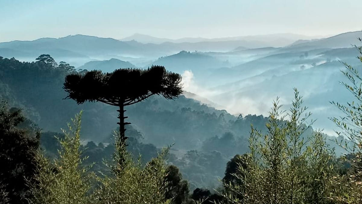 Divulgação/Prefeitura de camanducaia