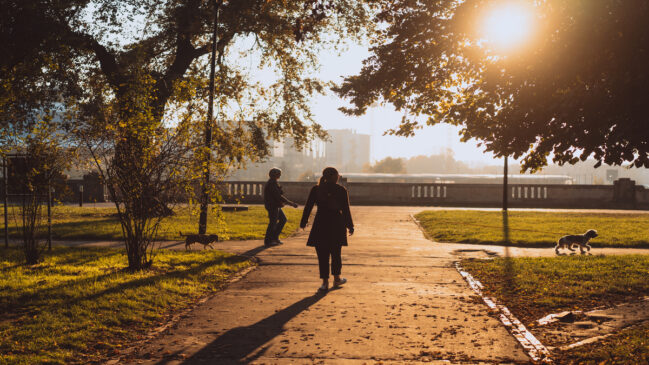 Caminhar todo dia é benéfico para a saúde cardiovascular