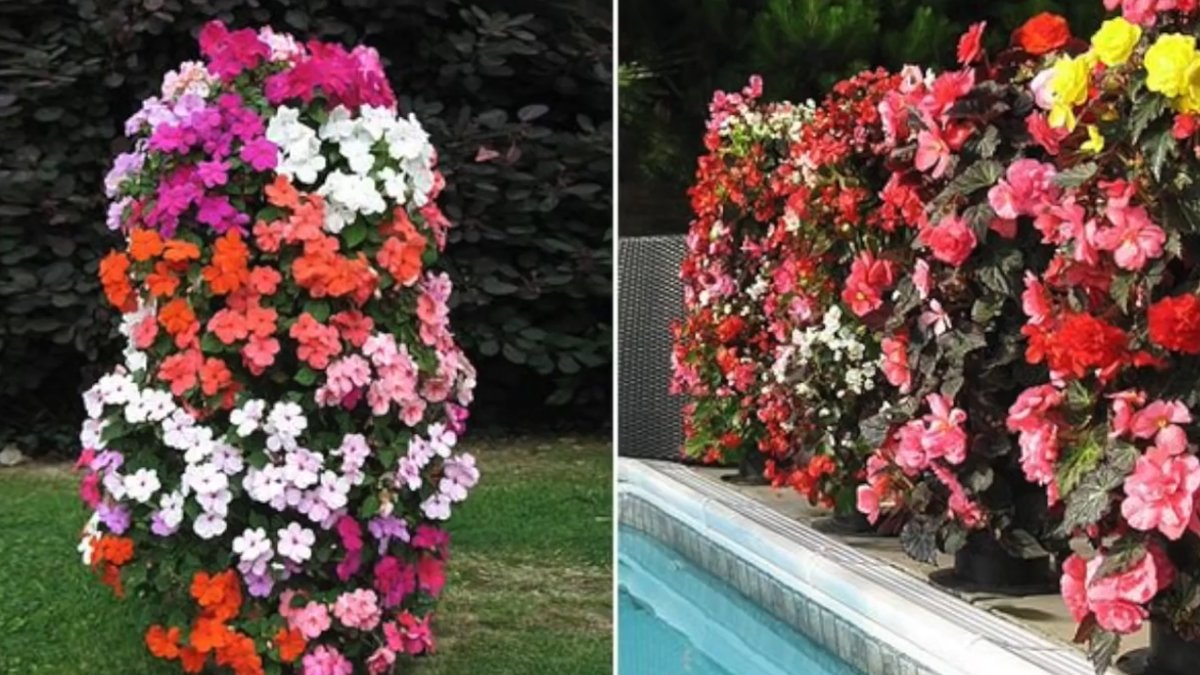 Além de simples e econômico, garante um visual único que vai durar até a próxima primavera