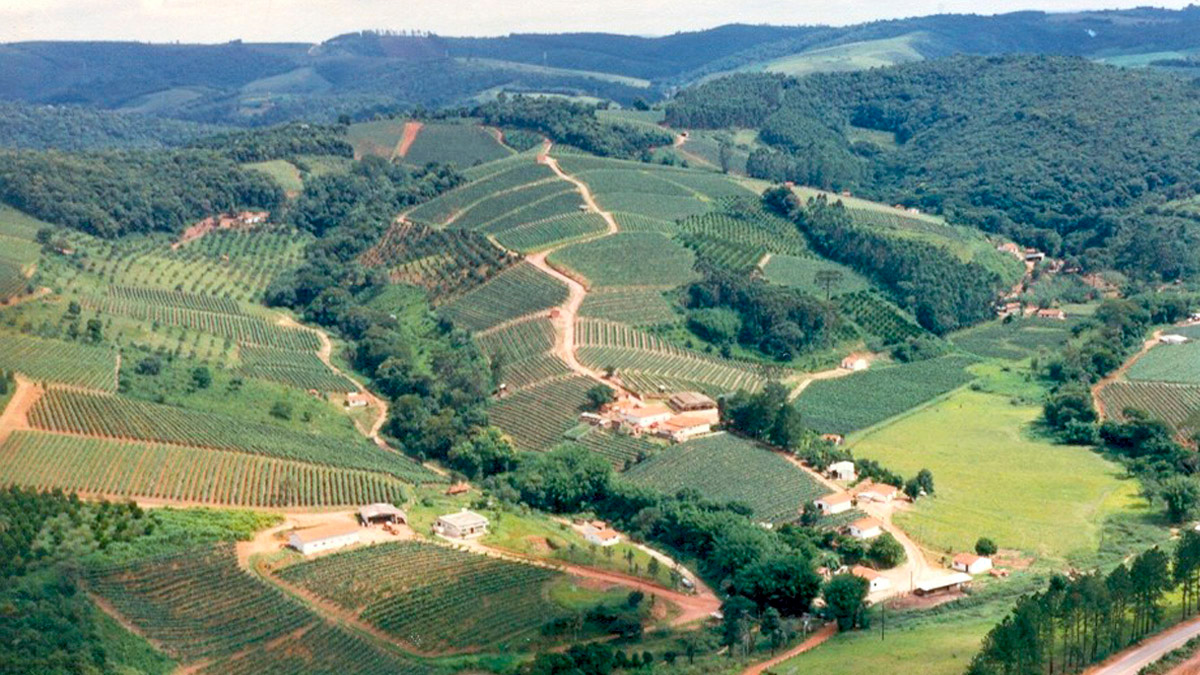 Divulgação/Prefeitura