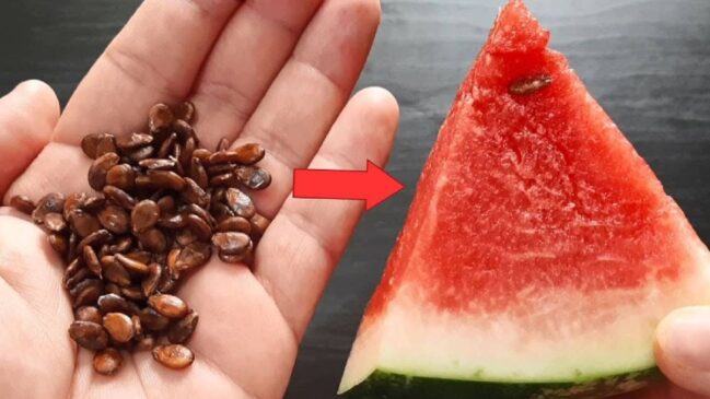 Elas têm zinco e magnésio, que são poderosos antioxidantes, combatendo os radicais livres e protegendo as células contra danos.