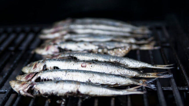 A sardinha é um dos peixes mais recomendados por nutricionistas devido ao seu alto valor nutricional.