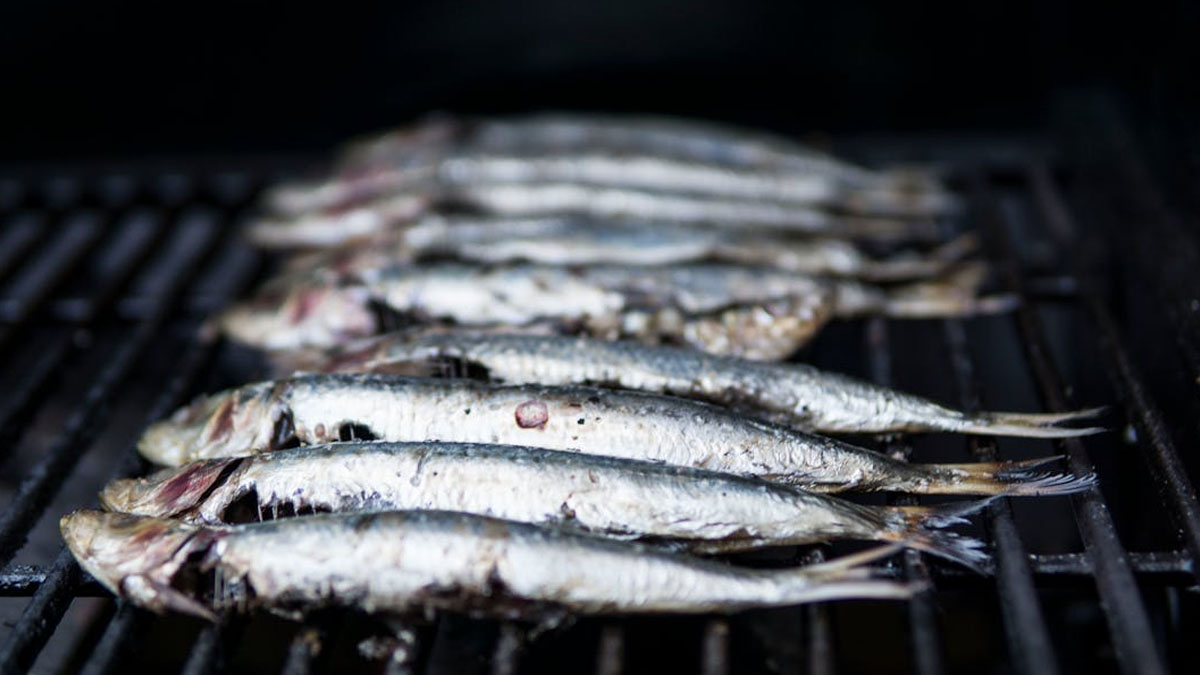 A sardinha é um dos peixes mais recomendados por nutricionistas devido ao seu alto valor nutricional.