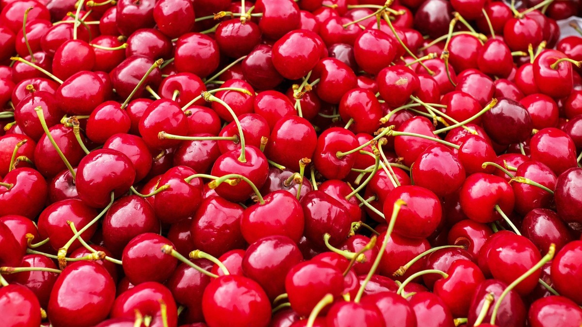 Opte por frutas vermelhas nos lanches entre as refeições - Couleur/Pixabay