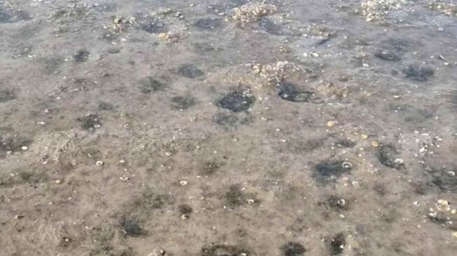 Para esclarecer todas as dúvidas, a reportagem do DL explica os detalhes desse fenômeno natural