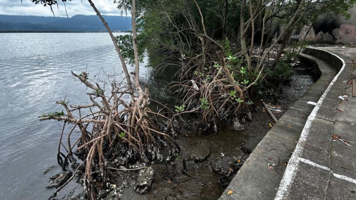 A ecobarreira atua como um filtro que retém lixo flutuante