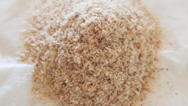 Psyllium é uma fibra alimentar natural extraída das sementes da planta Plantago ovata
