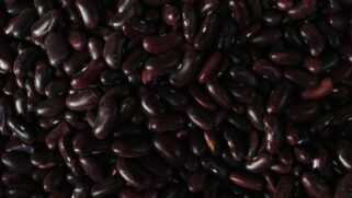 Composto por dezenas de variedades como o preto, branco, fradinho, carioca, azuki e rajado, o feijão é um verdadeiro superalimento que merece destaque na mesa