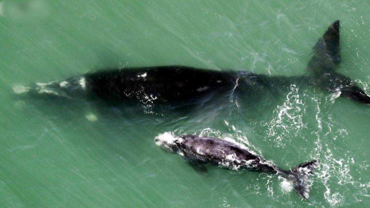 Imagem meramente ilustrativa