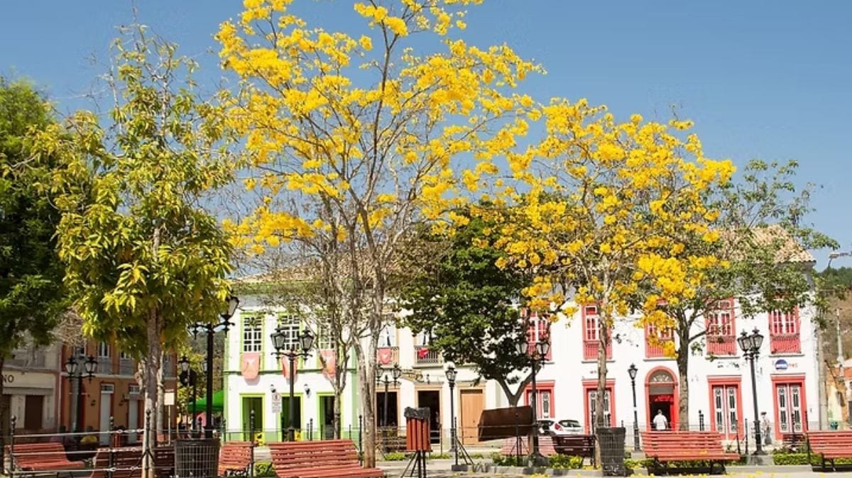 Praça Owaldo Cruz