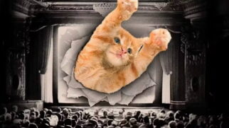 A entrada para o GatoFest é gratuita, mas os ingressos devem ser retirados com 1 hora de antecedência na bilheteria física do CCSP
