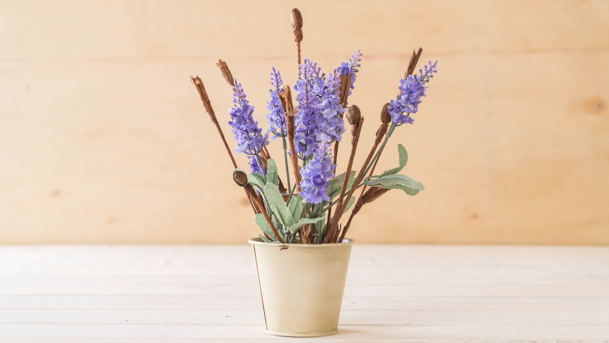 A lavanda combina fragrância agradável e flores vistosas com propriedades repelentes / Freepik/topntp26