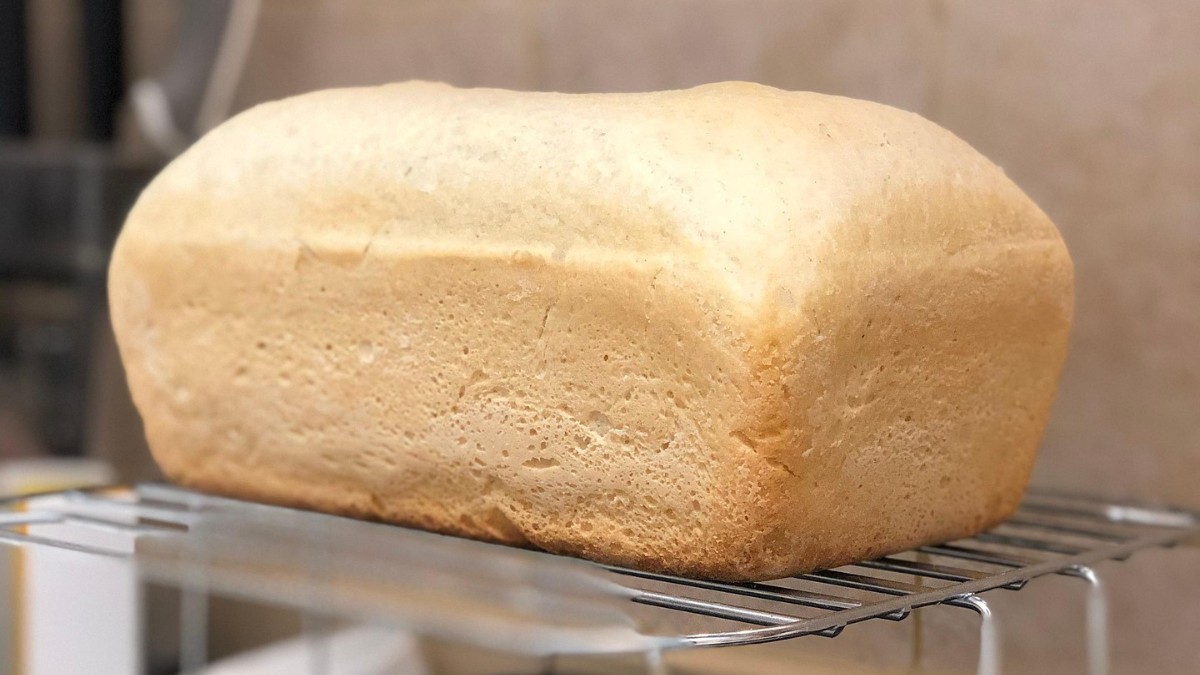 Não deixe alimentos expostos / RetroVulcano/Pixabay