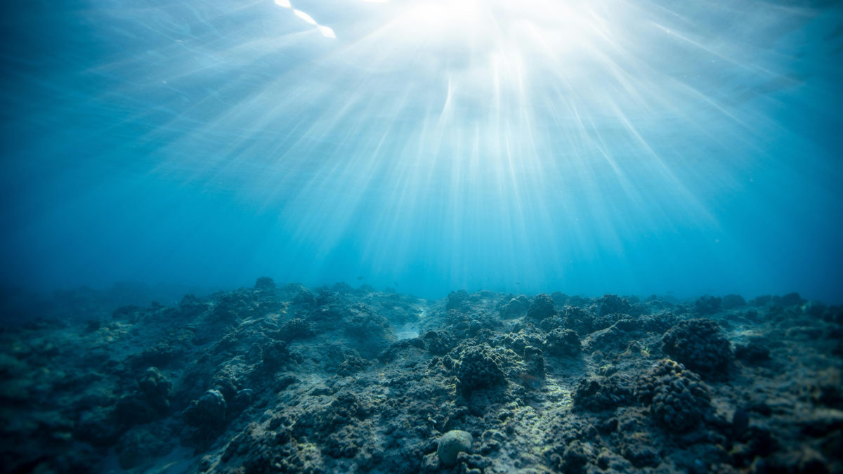 O método de extração consiste em veículos que percorrem o fundo do mar