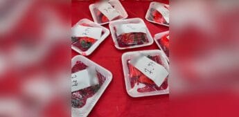 Em padaria no Brás, em SP, morangos do amor deram uma encalhada