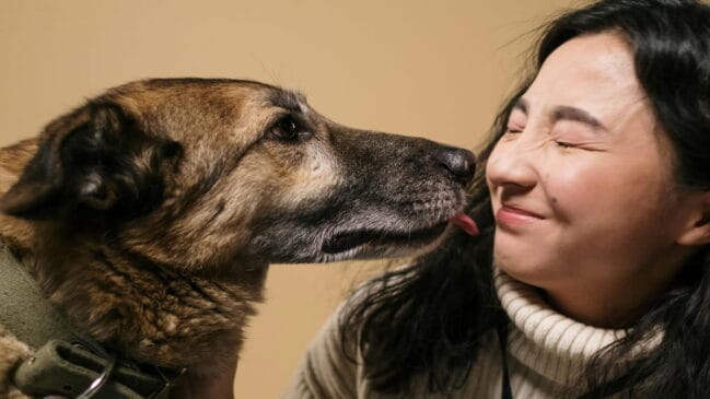 As lambidas dos animais contam com uma origem interessante