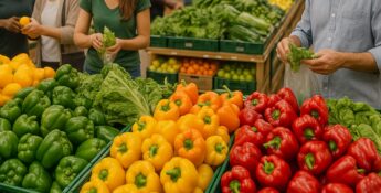 Tempo seco prolongado no Brasil vai pesar no bolso do consumidor