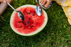 Sementes de abóbora são ricas em nutrientes e podem trazer diversos benefícios à saúde