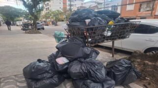 Retomada nas coletas começarão de forma imediata no litoral de São Paulo