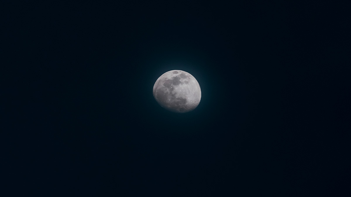 Reprodução/Freepik