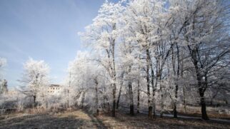 A chegada do inverno não muda só a temperatura, mas também transforma o visual ao nosso redor