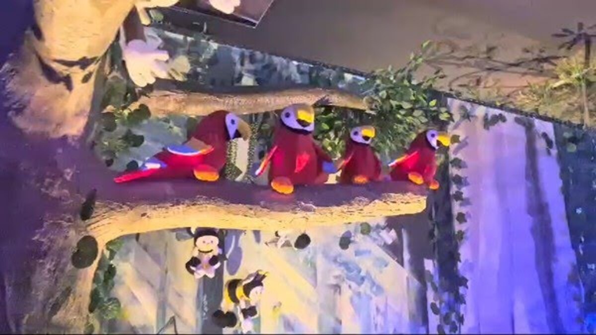 o zoológico de pelúcia de Tabatinga é único no País