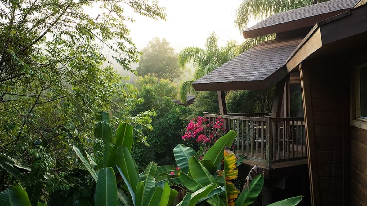 O Ecolodge Fazenda Morros Verdes, tem mais de 300 hectares de solo degradado que hoje se integra a uma paisagem quase totalmente recuperada