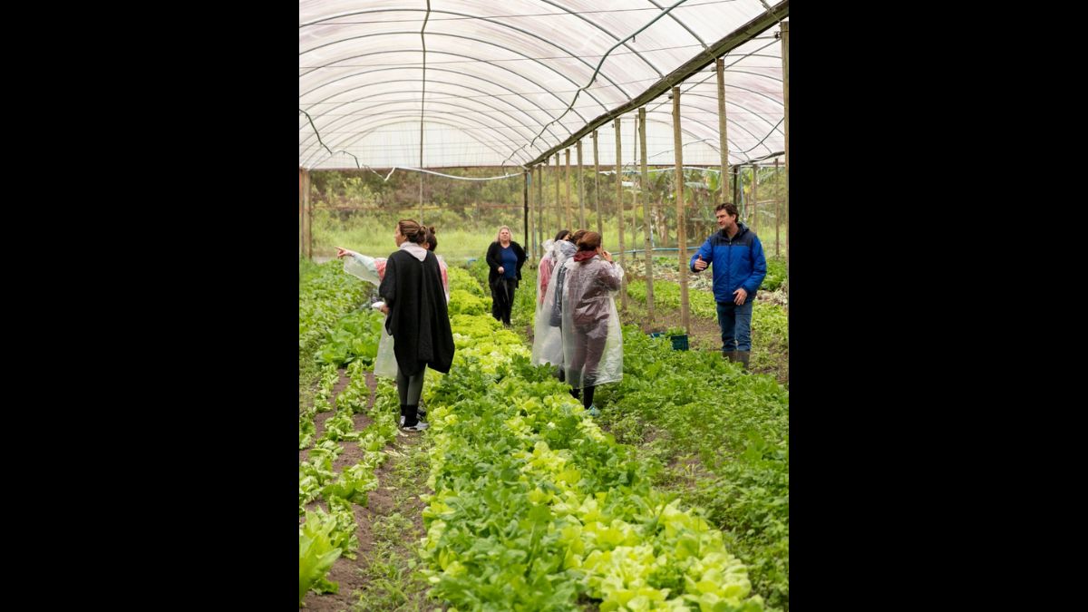 Parte dos alimentos servidos no restaurante é cultivada na própria fazenda, sem agrotóxicos ou conservantes/ Foto de Divulgação