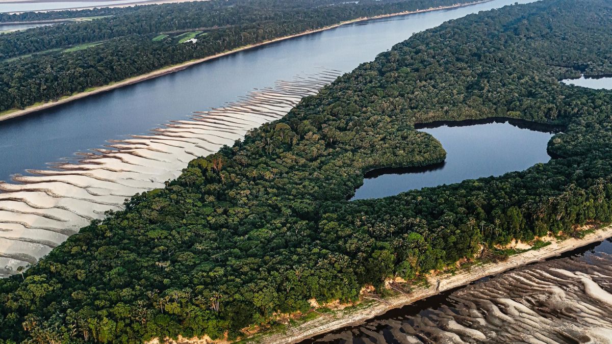 O rio Amazonas, responsável por drenar mais de sete milhões de quilômetros quadrados de terras dando a ele o pódio de maior rio em volume de água do mundo - Divulgação/Pixels