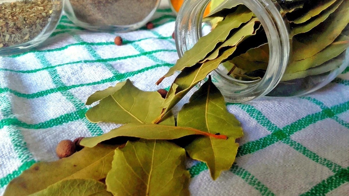 Além disso, ela é um ingrediente versátil na cozinha / Pixabay