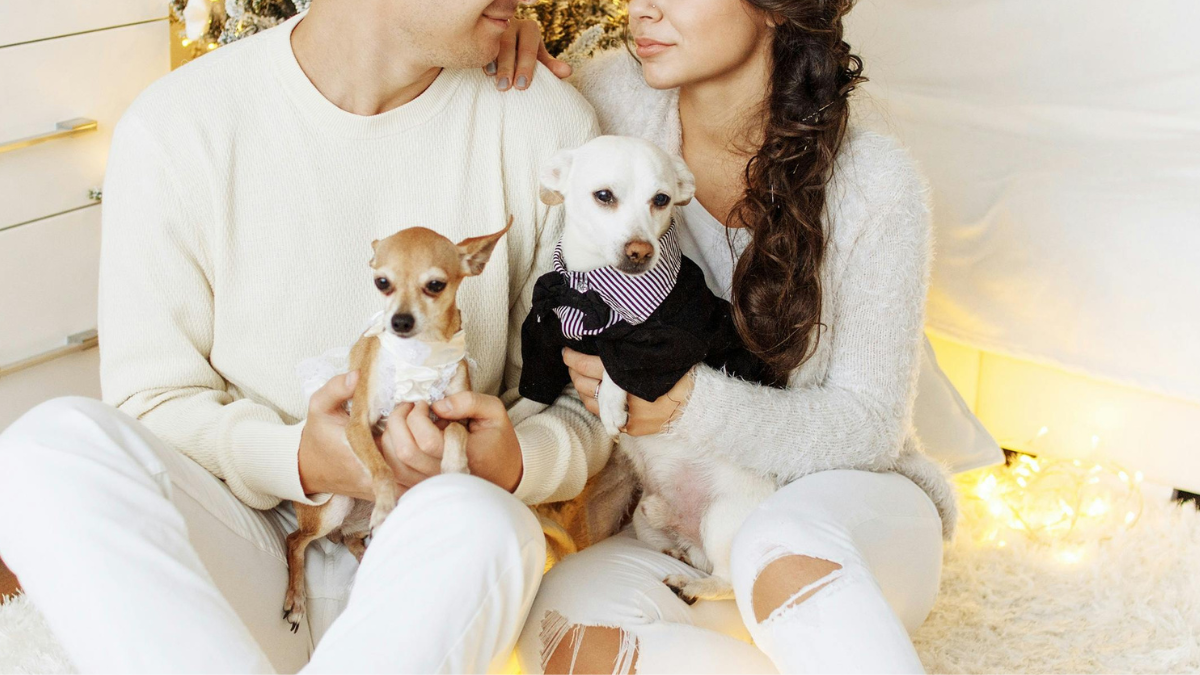 Pesquisa mostrou que a quase totalidade dos cuidadores (95%) dizem ver o seu bichinho como um membro da família. Pexels