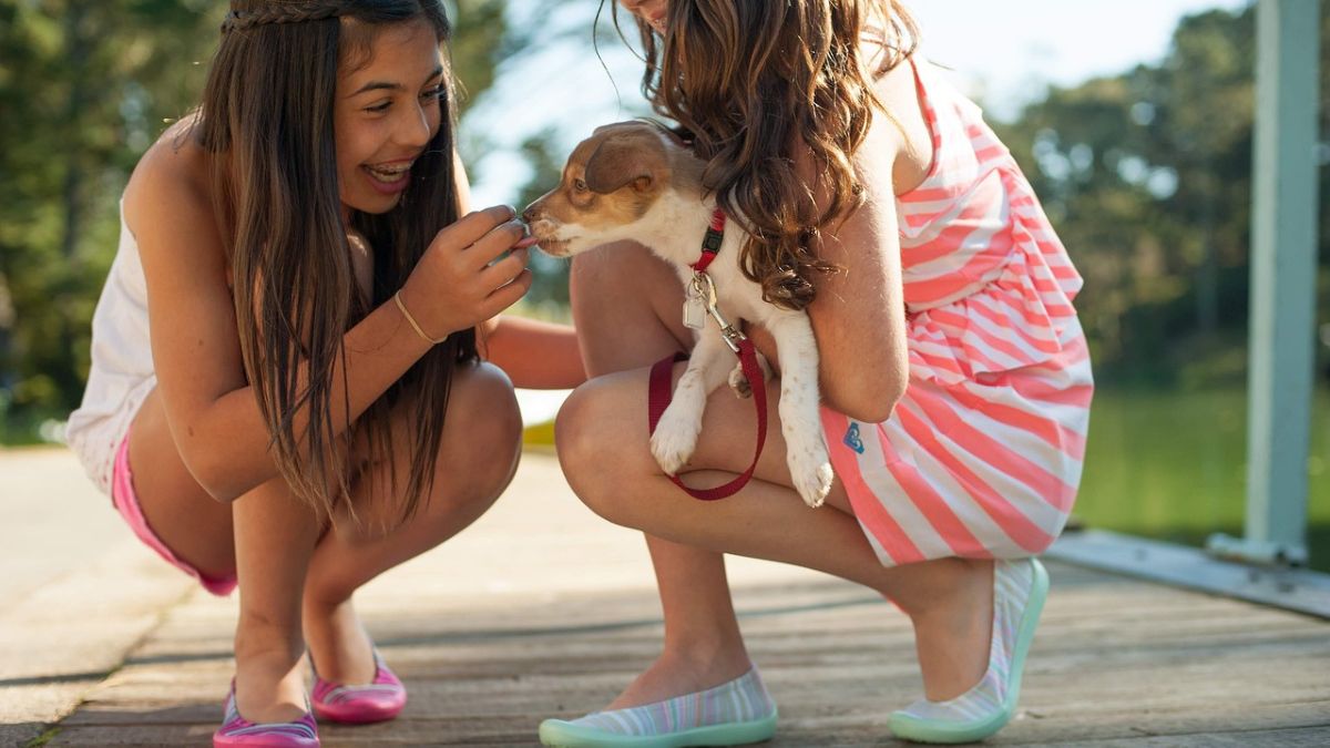 Brincar com cachorros, estimula crianças a se movimentarem mais e ajuda no desenvolvimento dos músculos. Pexels