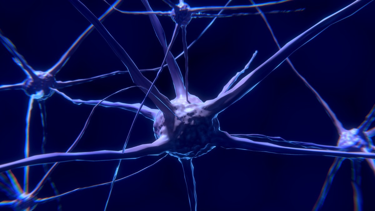 A neurociência cada dia mais avança e descobre os segredos do cérebro humano / Pixabay