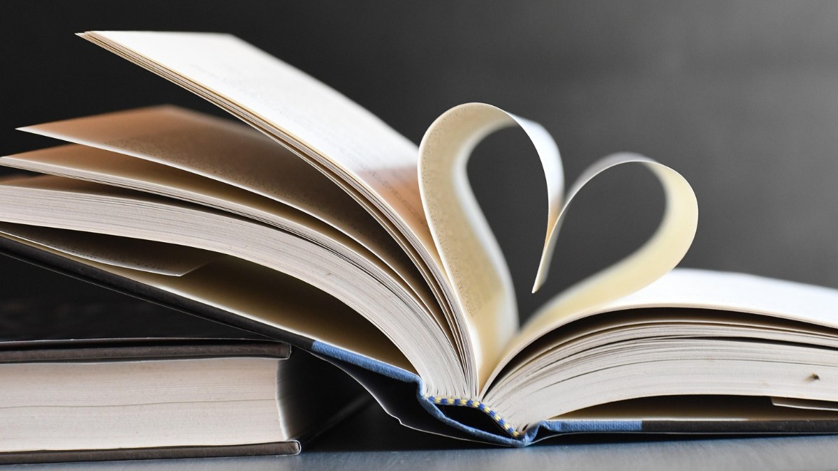 Os livros são excelentes formas de terapia / Pixabay