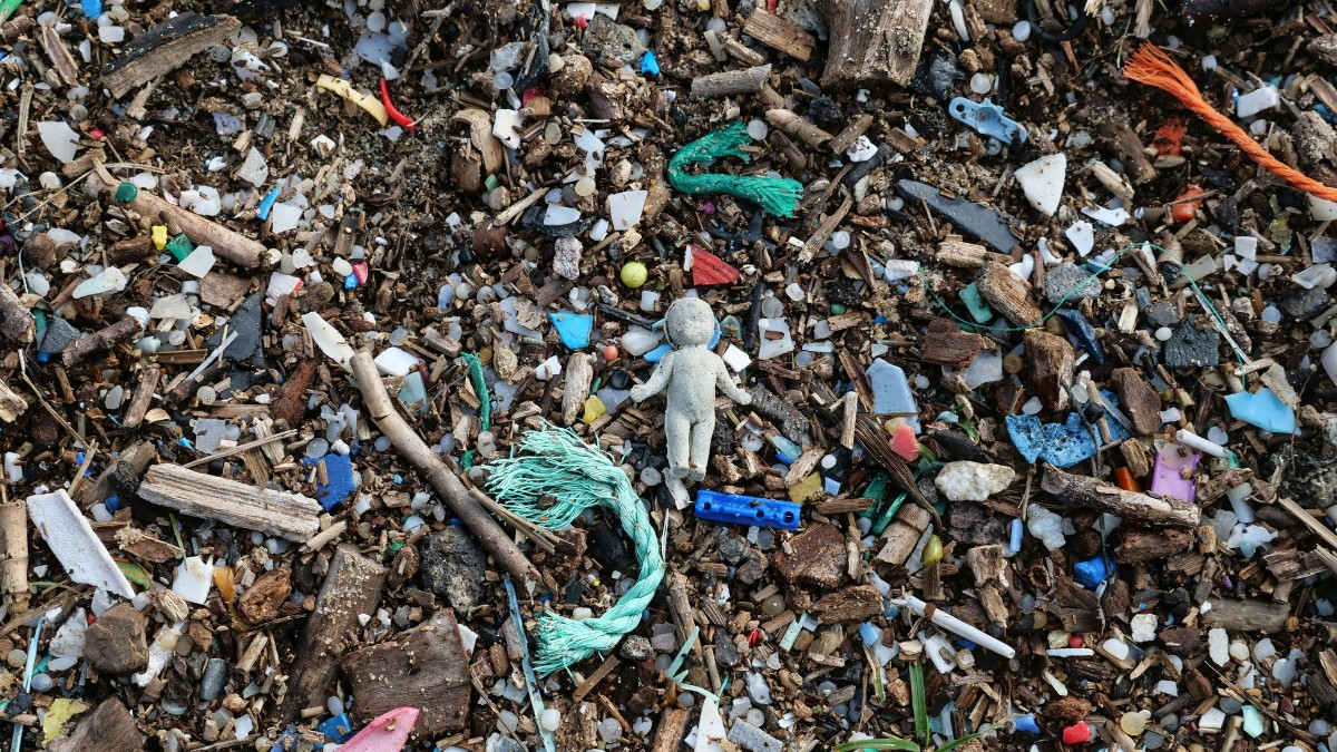 A poluição por plásticos é um grave problema que a humanidade enfrenta / Pexels