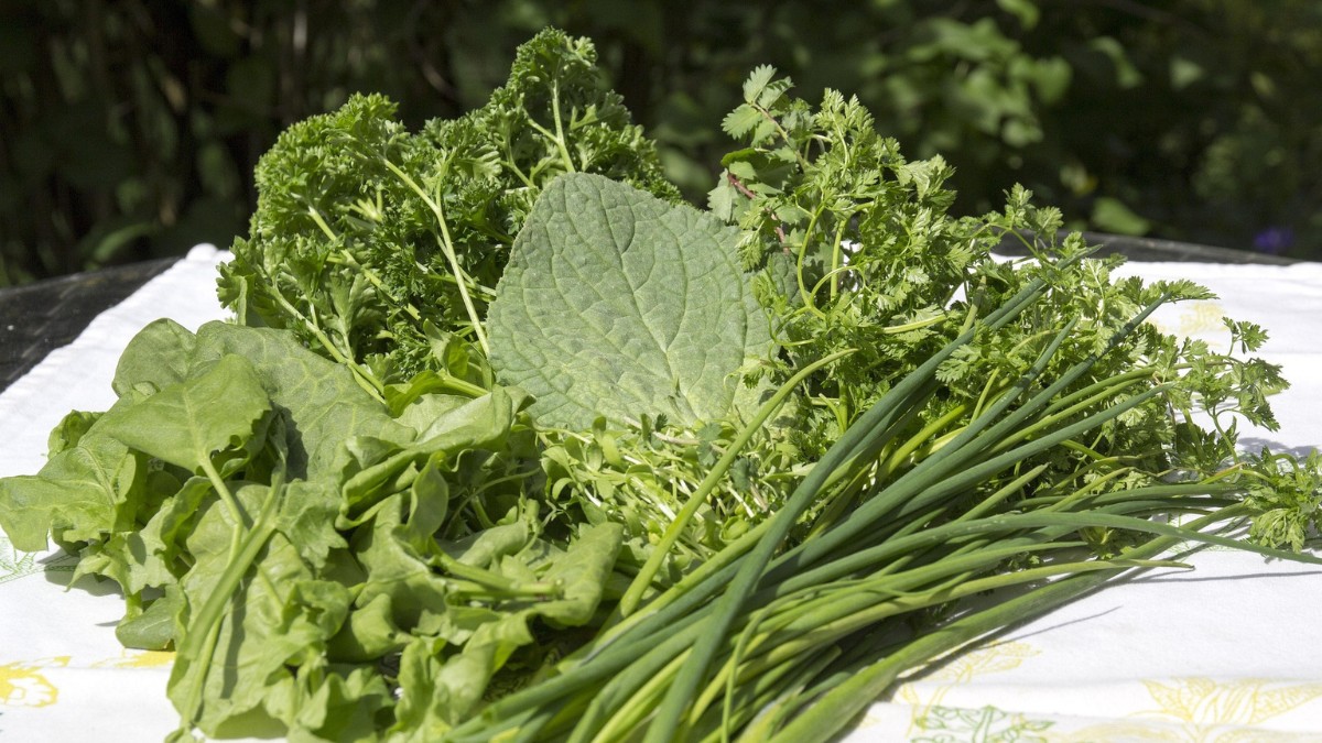 Aliado a outros vegetais, o agrião pode ajudar a formar um escudo potente contra doenças / Pixabay