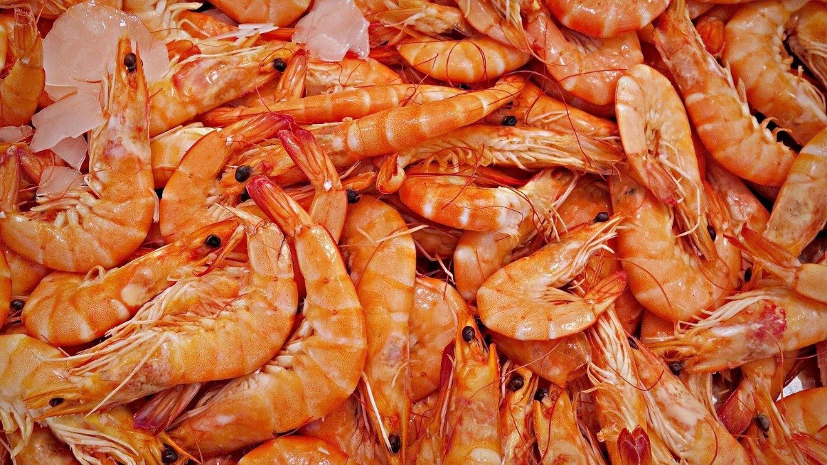 O camarão também é recomendando como uma boa forma de ingerir ômega 3 / Pixabay