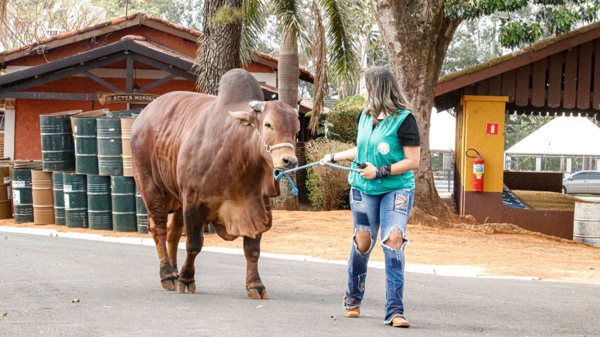 Além das atrações, o público poderá se divertir em espaços tradicionais dedicados ao agronegócio/Pref. Rio Preto
