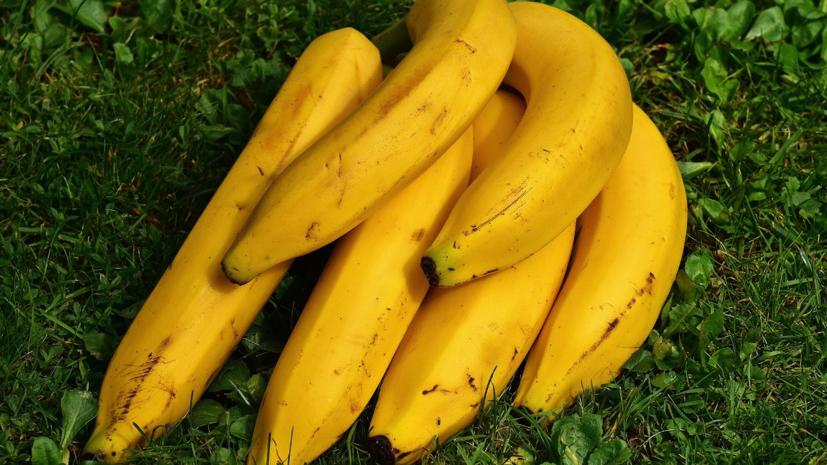 A banana é muito importante na saúde do coração por ser rica em potássio / Pixabay