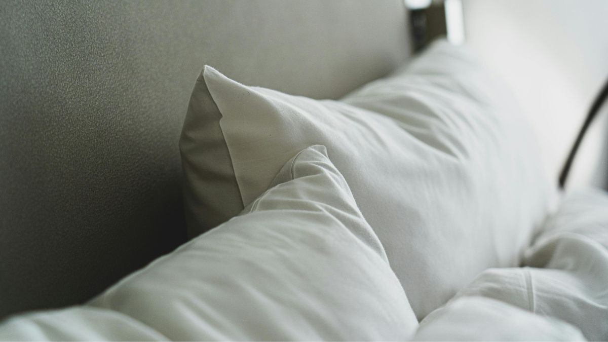 Você divide sua cama com trilhões de seres vivos; saiba como se proteger