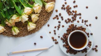 Além de despertar pessoas pela manhã, o café também fortalece raízes, nutre o solo e protege plantas de forma natural