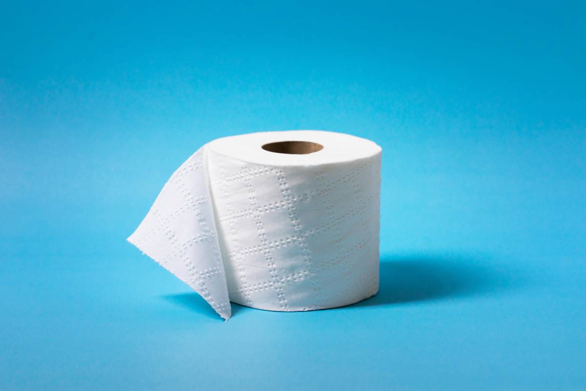 Em suma, os washlets são bidês inteligentes com jatos de água, secagem e tampa automática, e estão substituindo o papel higiênico, oferecendo uma limpeza mais eficaz e confortável/Pexels
