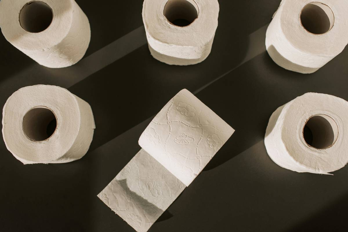 Para fazer você mudar de ideia na hora de se higienizar, é necessário apresentar uma série de benefícios presentes no washlet, não é verdade?/Pexels