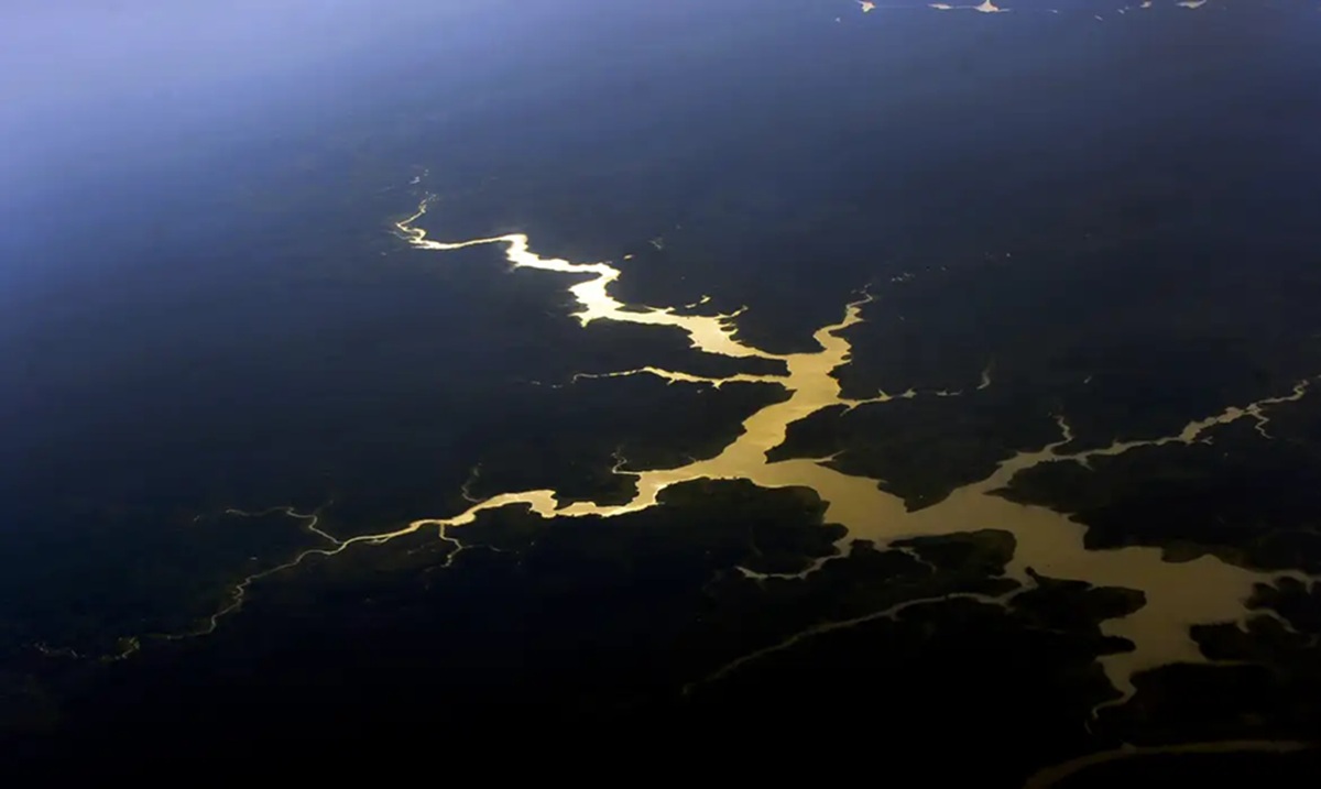 Especialista alerta que Amazônia pode entrar em colapso climático em 30 anos sem ação