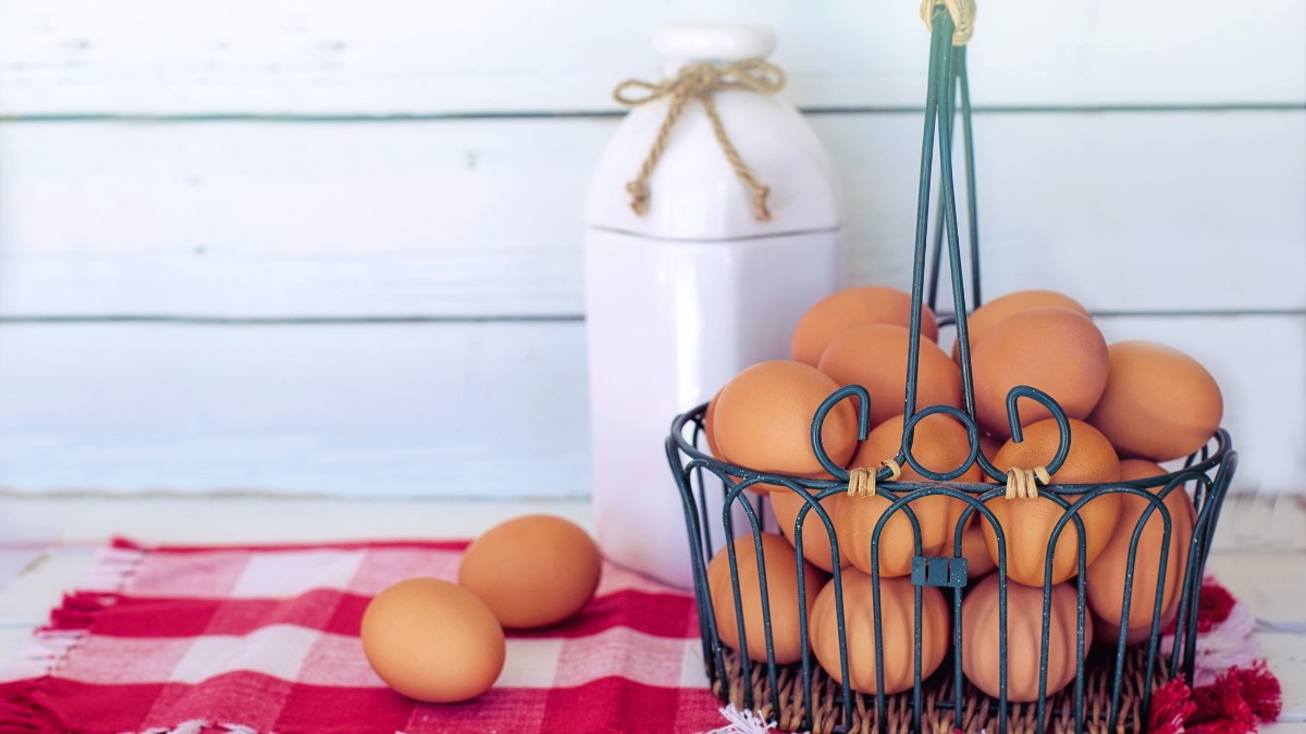 Os ovos são uns dos principais alimentos em virtude de alto teor proteico / Pixabay