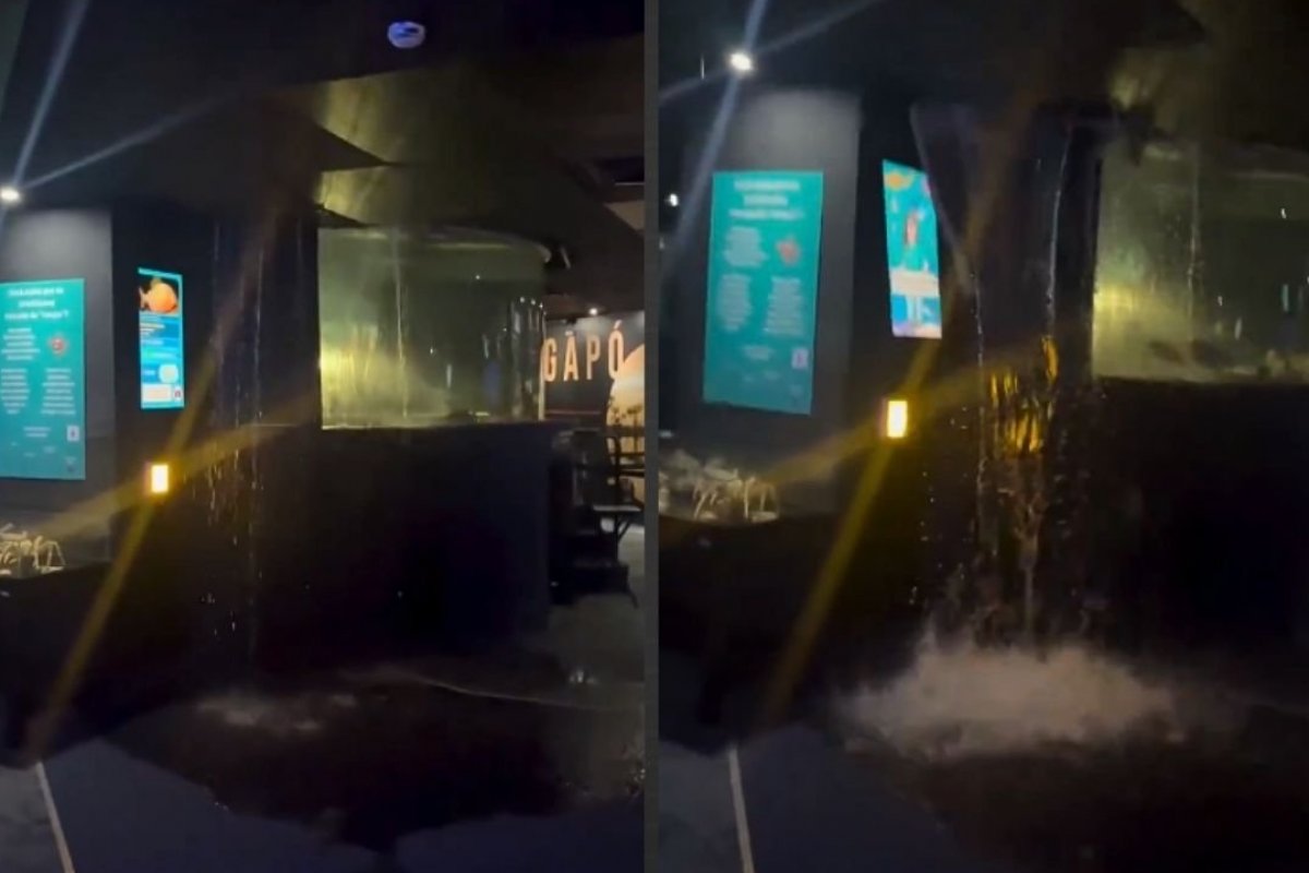 O aquário diz que a estrutura fazia parte de um pequeno recinto de animais marinhos